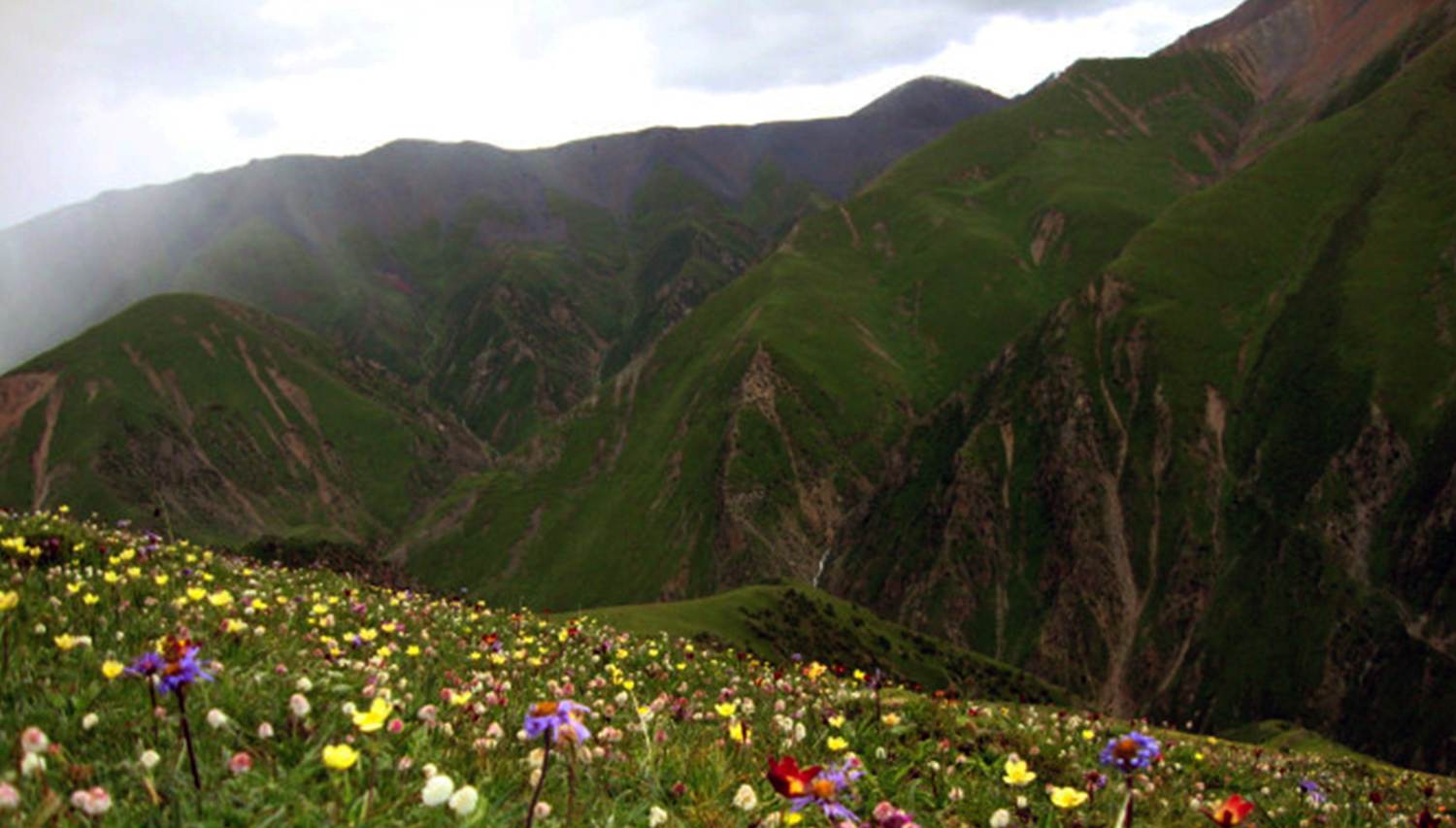 མདོ་ཁམས་འབྲི་རུའི་ཡུལ་ལྗོངས།